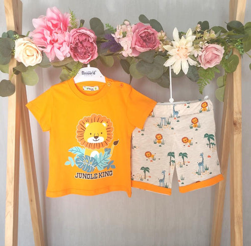 Bright and colourful two piece shorts and t-shirt for your little boy