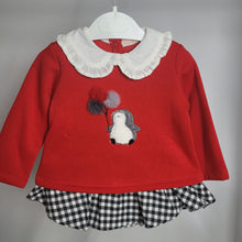 Load image into Gallery viewer, Baby Girl 2 Piece Sweatshirt and Skirt Set
